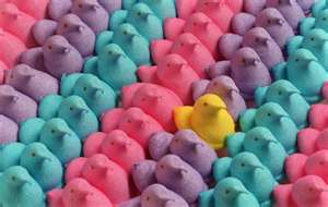 army-of-peeps-happy-easter-all-my-fans-30357743-300-190.jpg