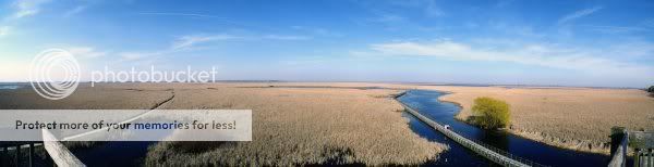 Pt_Pelee_Marsh_Boardwalk.jpg