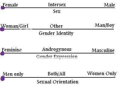 genderb.jpg