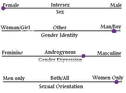 genderc.jpg