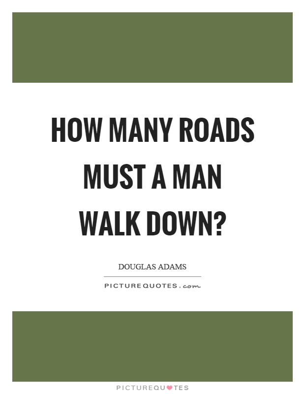 how-many-roads-must-a-man-walk-down-quote-1.jpg