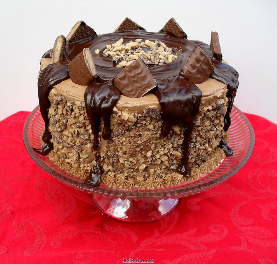 316080,xcitefun-celebrate-birthday-with-chocolate-cake-1.jpg
