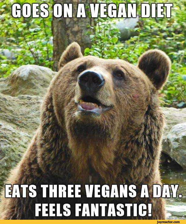 funny-pictures-meme-vegan-eat-5150698.jpeg