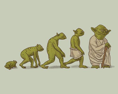 Evolution-of-Yoda.jpg