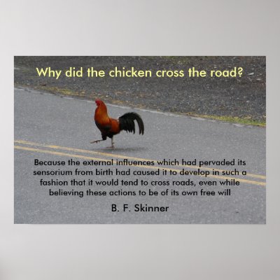 why_did_the_chicken_cross_poster-rce2480183f0b4bd395b60d104251928e_ww7_400.jpg