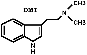 dmt1.gif