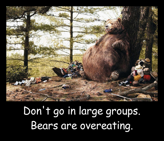 Teddy-land-Bears-are-overeating.jpg