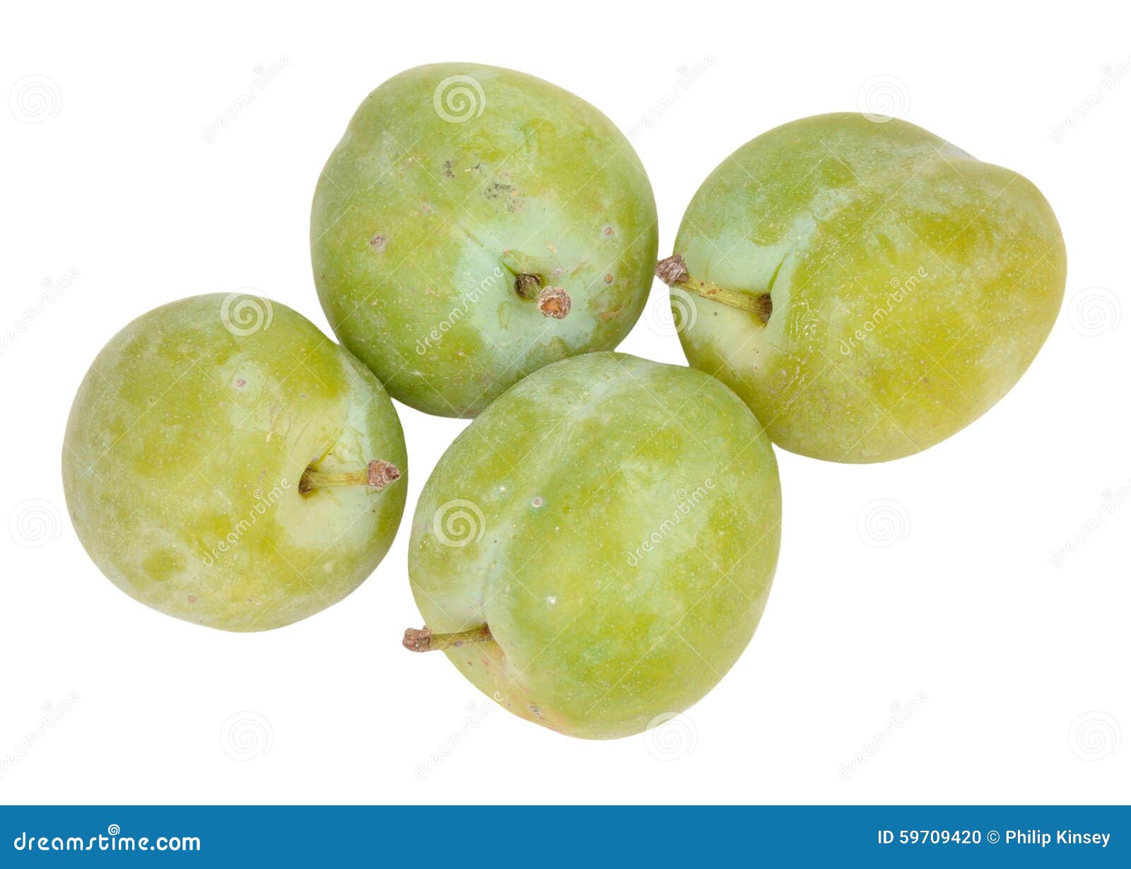 greengage-plums-fresh-ripe-isolated-white-background-59709420.jpg