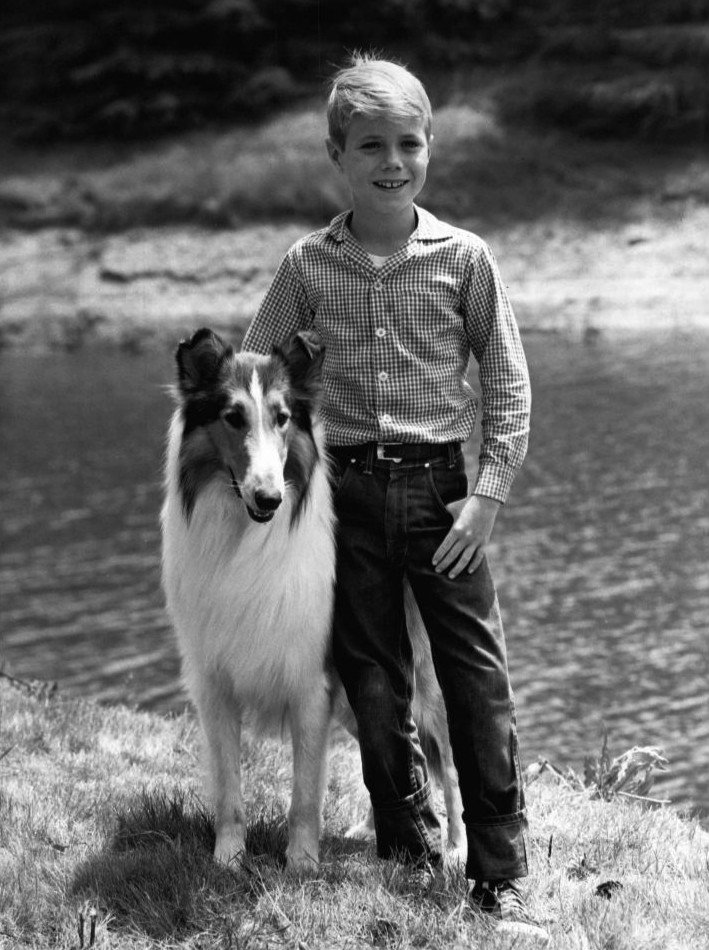 Jon_Provost_Lassie_1961.JPG