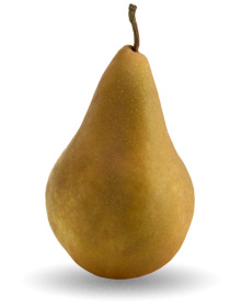 bosc-pear.jpg