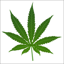 cannabis_leaf.gif