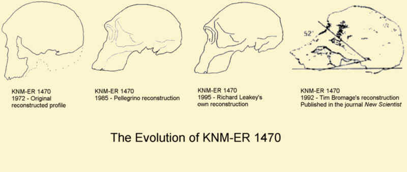 KNMER%20Evolution.jpg
