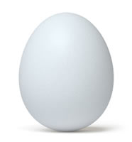 egg-white.jpg