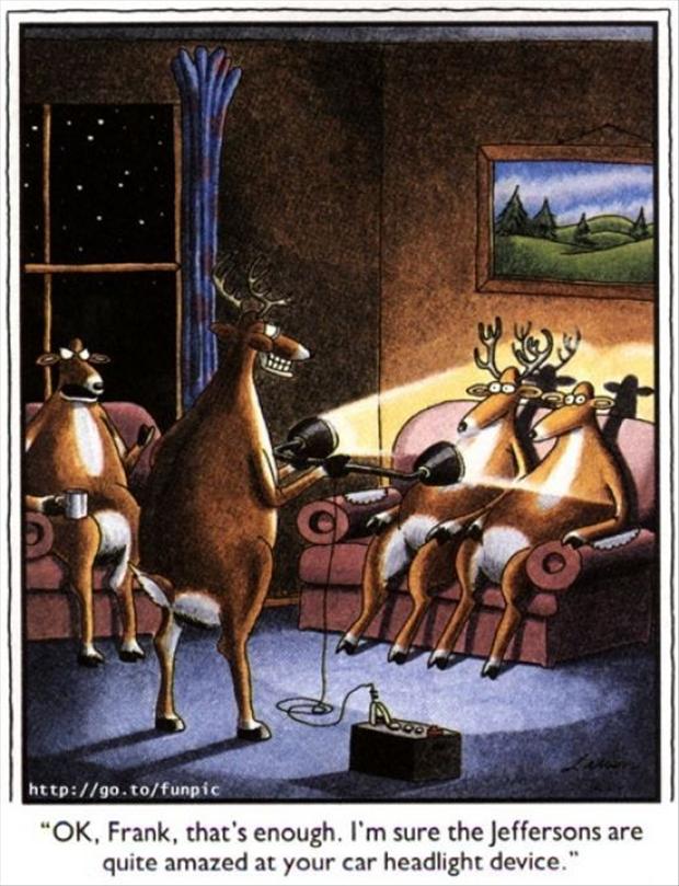 deer-in-the-headlights-funny-pictures.jpg