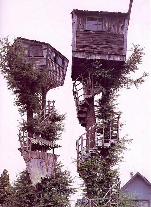 tree-house.jpg