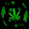 animated_marijuana_spinning.gif