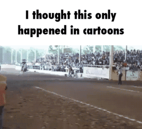 6-I-thought-this-only-happened-in-cartoons-funny-horse-gif.gif