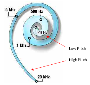 cochlea_frequency.png