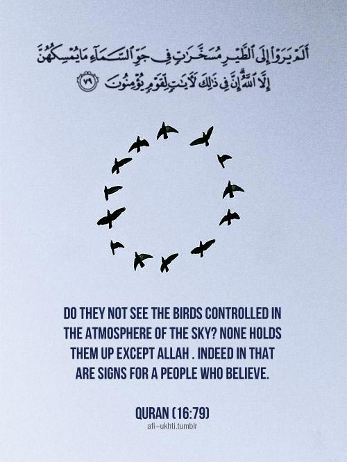 beautiful-islamic-quotes-5.jpg