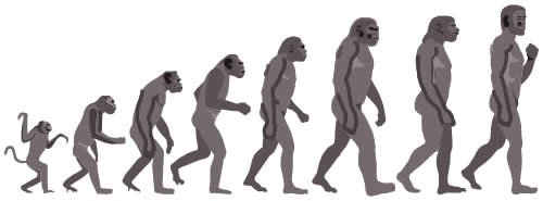ape-to-man-evolution.jpg