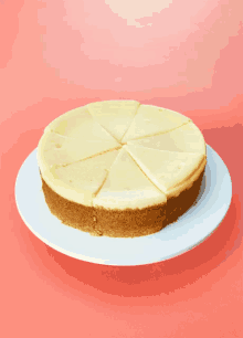 national-cheesecake-day-cheesecake.gif