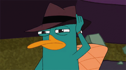 perry-the-platypus-hat.gif