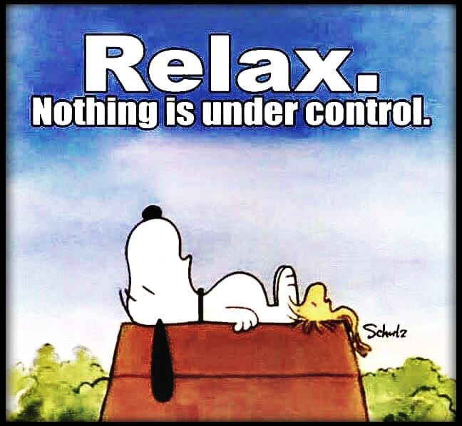 365685-Relax.-Nothing-Is-Under-Control.jpg
