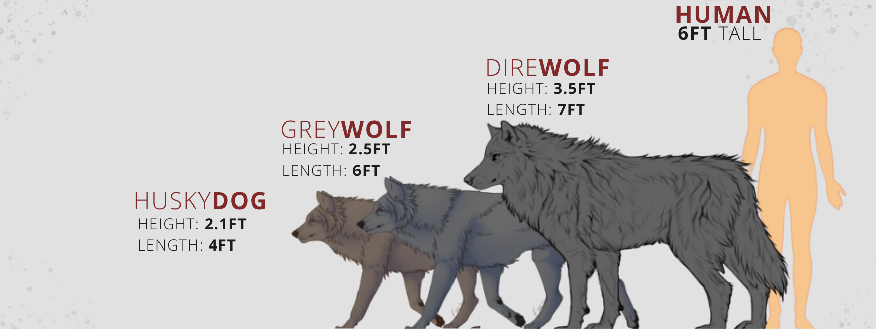 how-big-is-the-direwolf.png