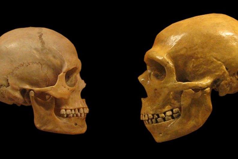 Earliest-evidence-of-hominin-interbreeding-revealed-by-DNA-analysis.jpg