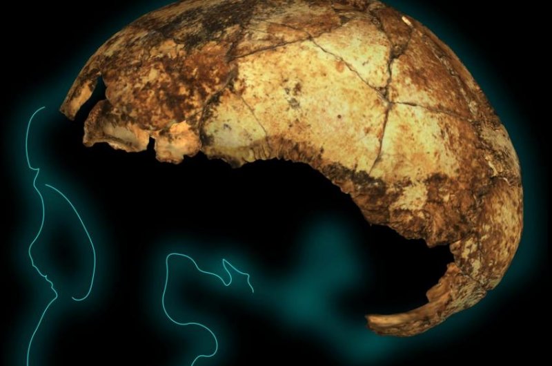 Fossil-suggests-Homo-erectus-is-200000-years-older-than-thought.jpg