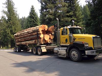 Logging-Trucks-Western-Star-4900SB-13135348-thumb.jpg