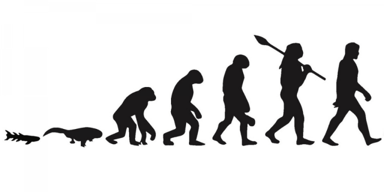 evolution-image-768x384.png