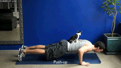 plank-senorgifcom-push-up