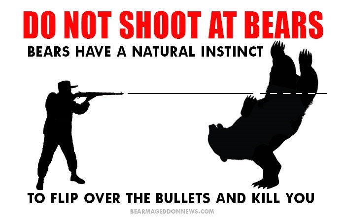 at-bears-bears-have-a-natural-instinct-to-flip-over-the-bullets-and-kill-you-bearmageddonnewscom