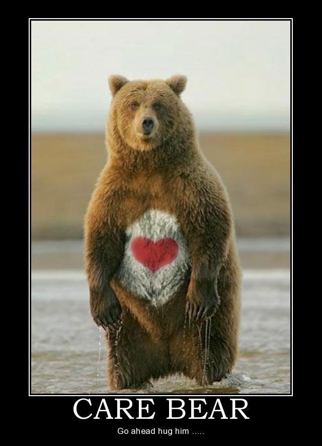 brown-bear-care-bear-go-ahead-hug-him