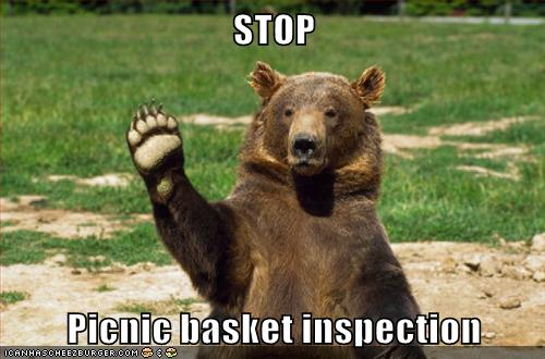 picnic-basket-inspection-7335737088