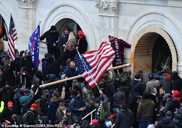 38058992-9152685-The_MAGA_mob_descending_on_the_US_Capitol_on_January_6_They_over-a-23_1610742027096.jpg