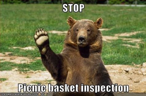 b9c11f8f826317c8f339aec578638565--bear-pics-picnic-baskets.jpg