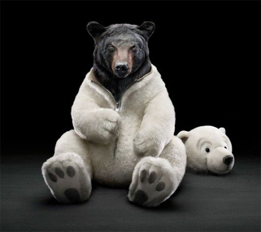 46222e27422601245c1b4623f4535d85--polar-bears-teddy-bears.jpg