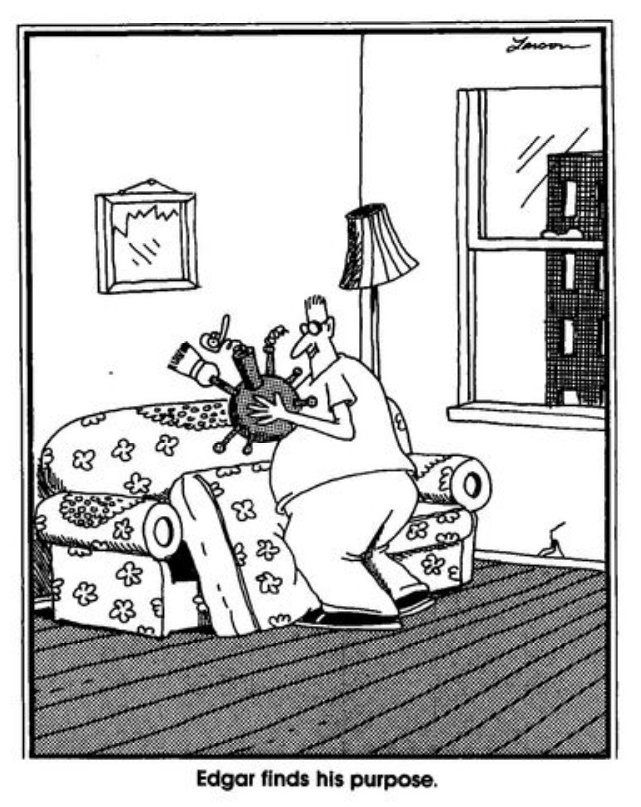 a0873a5fad18b24dd35ddb6cea1ffeea--gary-larson-the-far-side.jpg