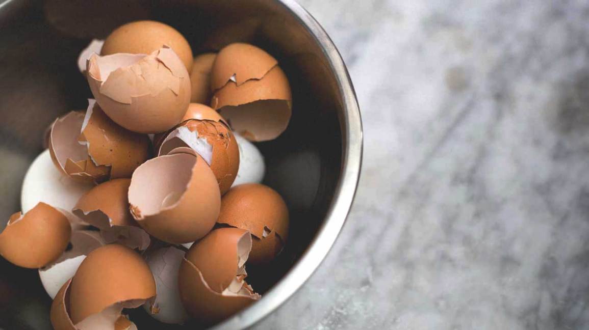 eggshells-in-bowl-1296x728.jpg