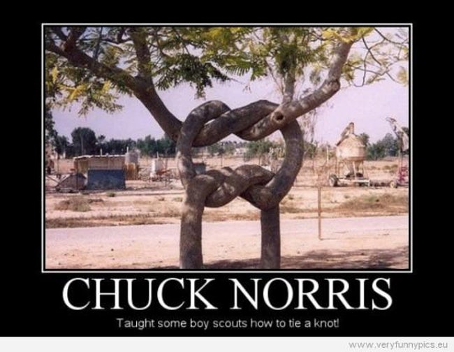1508971585_701_24-uproariously-funny-chuck-norris-memes.jpg