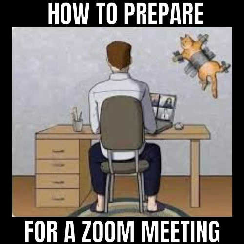 how-to-prepare-for-zoom-meeting-duct-tape-cat-wall.jpg