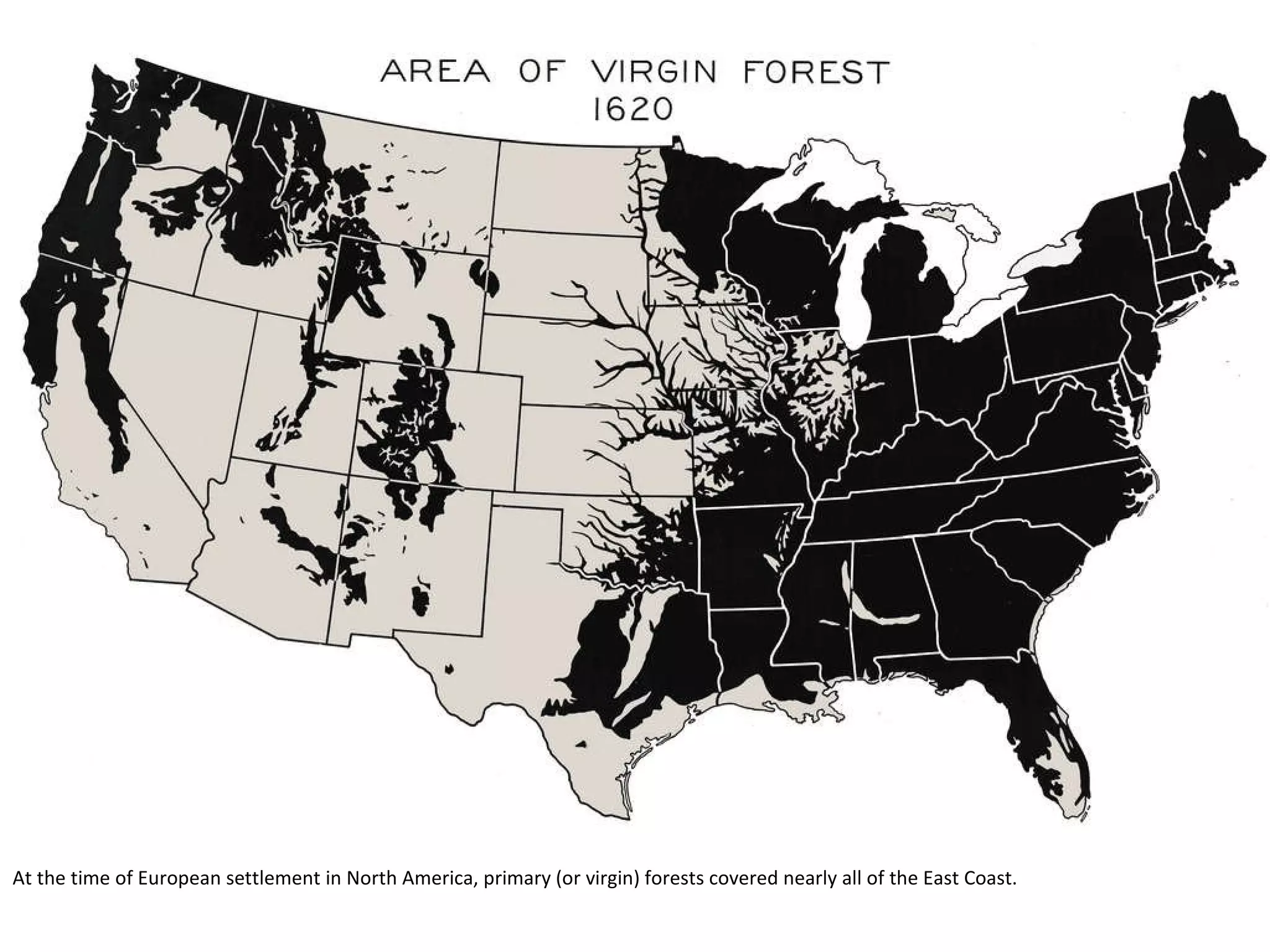 virgin-forests-cover-in-the-us-1-2048.jpg