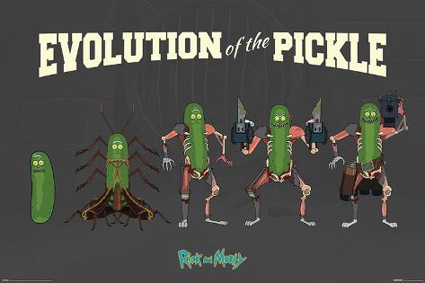 rick-and-morty-evolution-of-the-pickle_a-G-15529183-0.jpg