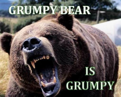 grumpy-bear.jpg