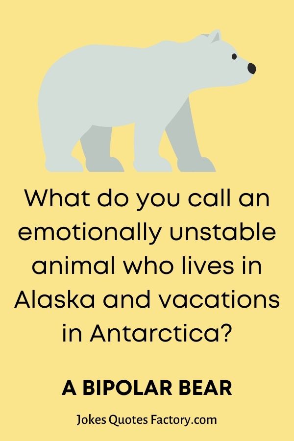 What-do-you-call-an-emotionally-unstable-animal-who-lives-in-Alaska-and-vacations-in-Antarctica.jpg