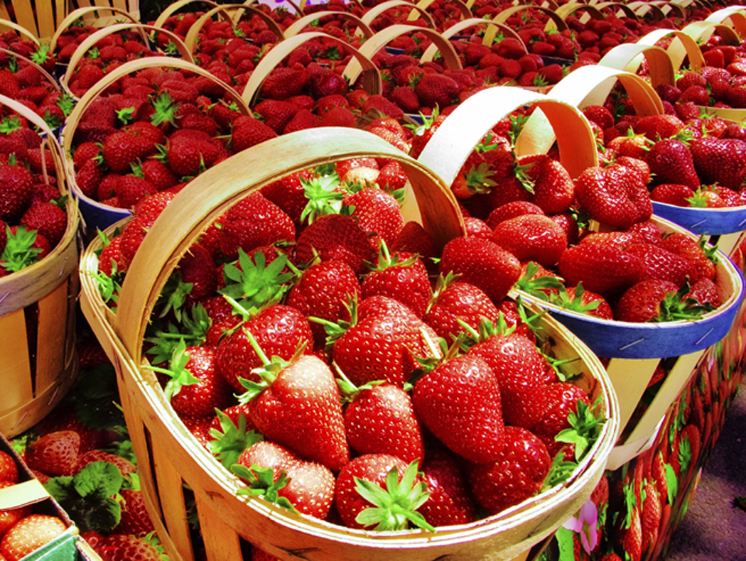 strawberry+2.jpg