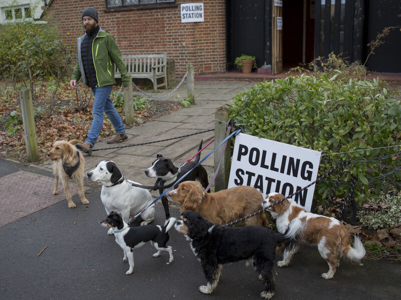 uk-general-election-2019-dogs-144900d033ffafeb83b73d38da4b5fe47434c8f1-s800-c85.jpg
