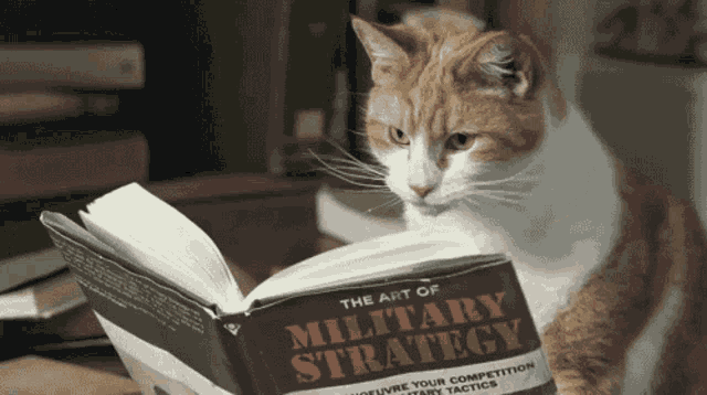 cat-military-strategy.png